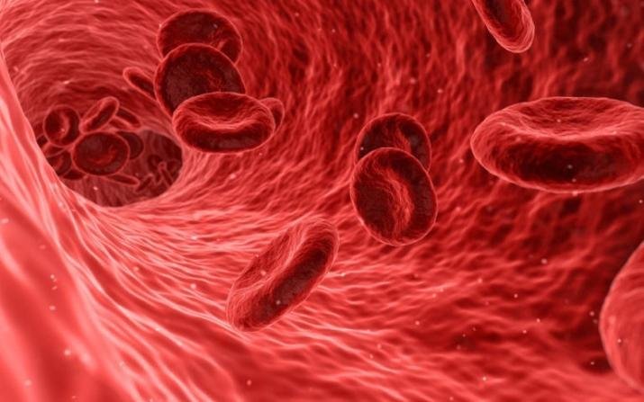 6 природных средств, которые разжижают кровь и выполняют профилактику сгустков крови
