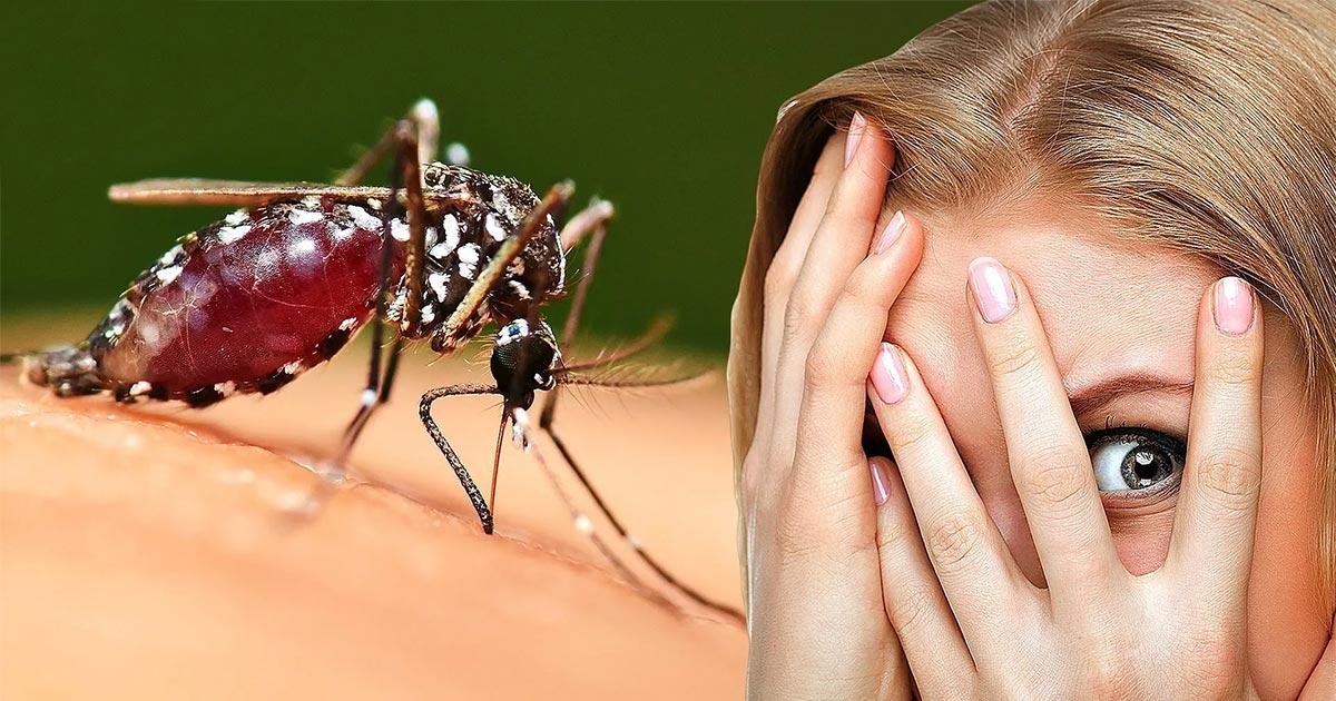Наконец-то точно выяснили, почему комары кусают одних, а других не трогают