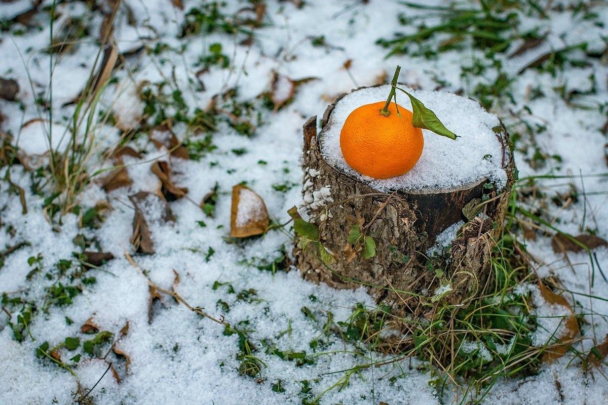 Осторожно, мандарины! Специалисты говорят о возможной опасности