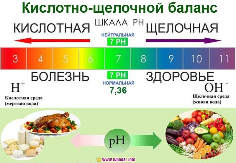 25 самых щелочных продуктов, которые спасают от рака, инфаркта и лишнего веса