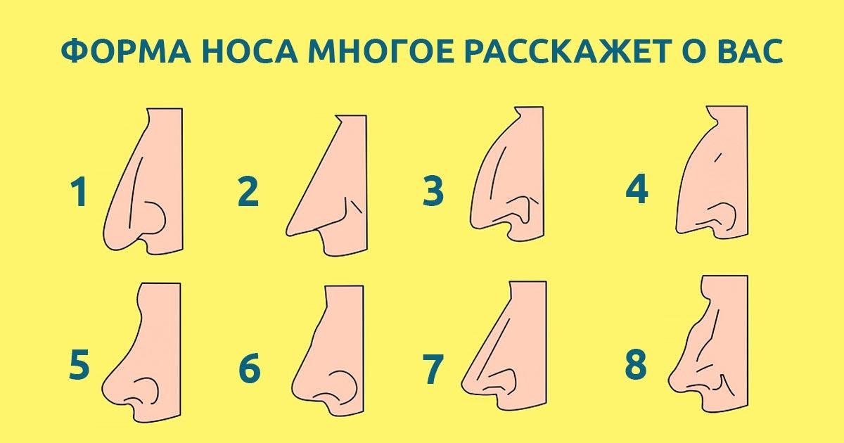 Что расскажет о вас форма вашего носа?