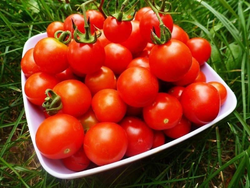 7 болезней, при которых лучше не есть помидоры