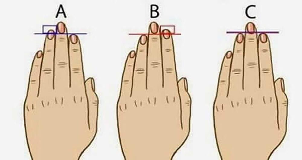 Ваши пальцы могут много о вас рассказать! Какие у вас пальцы?