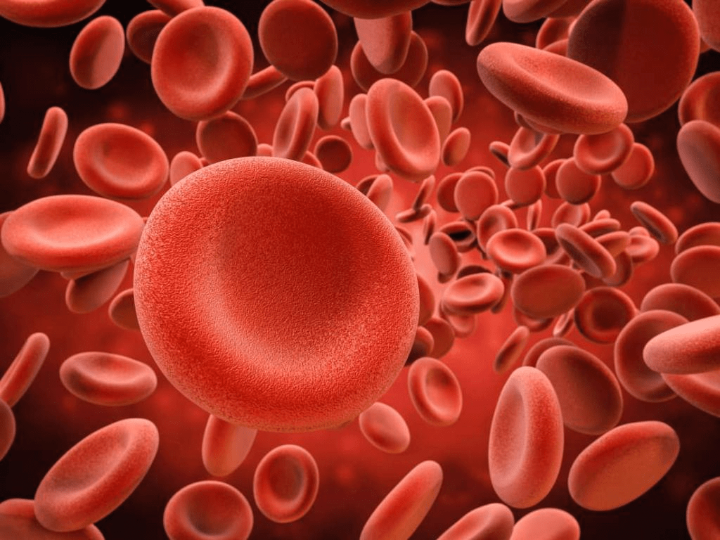 3 клетки содержащие гемоглобин