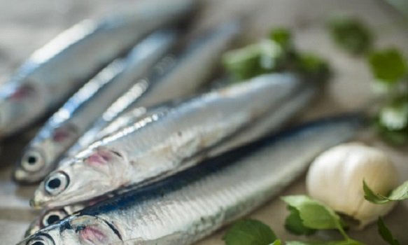 Эта дешевая рыба полезнее, чем лосось и форель: в ней больше 15 витаминов и минералов