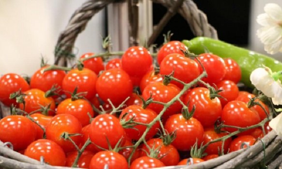 Секрет агрономов: внесите это удобрение в августе и помидоры вырастут крупными и сочными