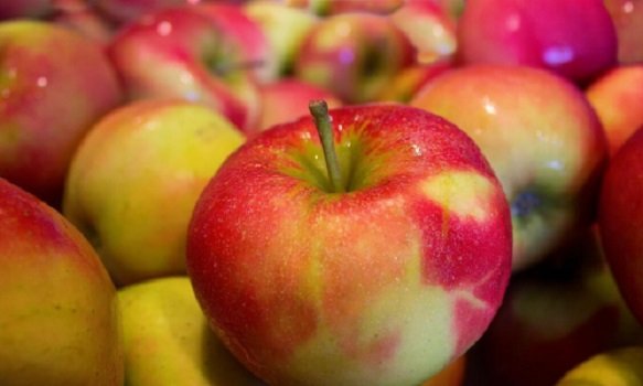 Что будет, если есть потемневшие яблоки: ответ дала врач