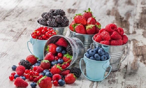 Ученые назвали ягоду, которая ускоряет работу мозга у всех пожилых людей